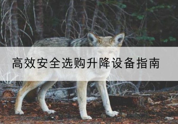 伊通升降货梯厂家推荐-*安全选购升降设备指南