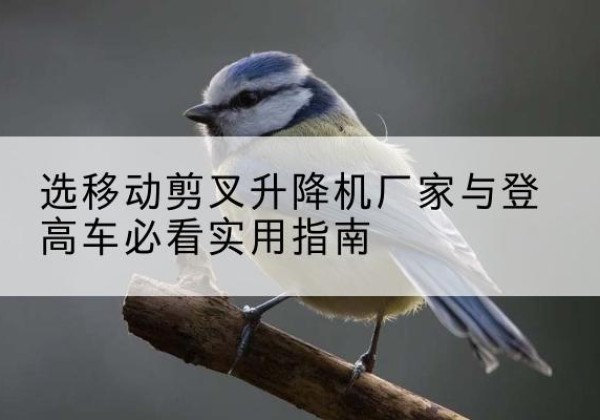 伊通电动升降机厂家-选移动剪叉升降机厂家与登高车必看实用指南
