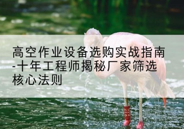 伊通剪叉式升降机厂家-高空作业设备选购实战指南-十年工程师揭秘厂家筛选核心法则
